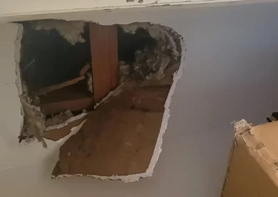 Local Handyman (3)